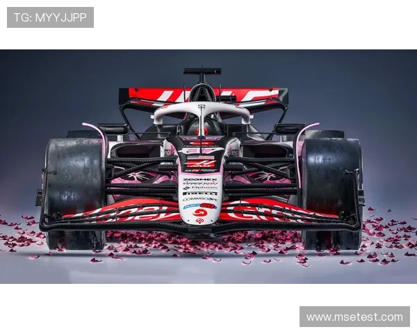 F1赛事新规引发热议 车队策略与车手表现面临严峻考验